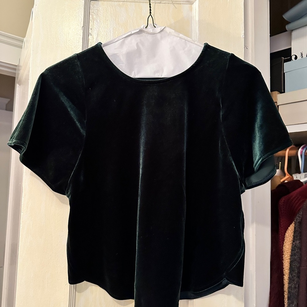 Madewell Dark Green Velvet Short Sleeve Top